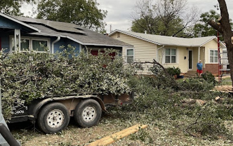 Leaf It To Me Tree Service And Mowing