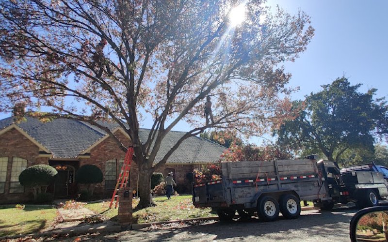 Marquez Tree Care