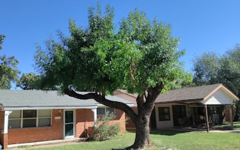 Quality Care Landscape & Tree Service