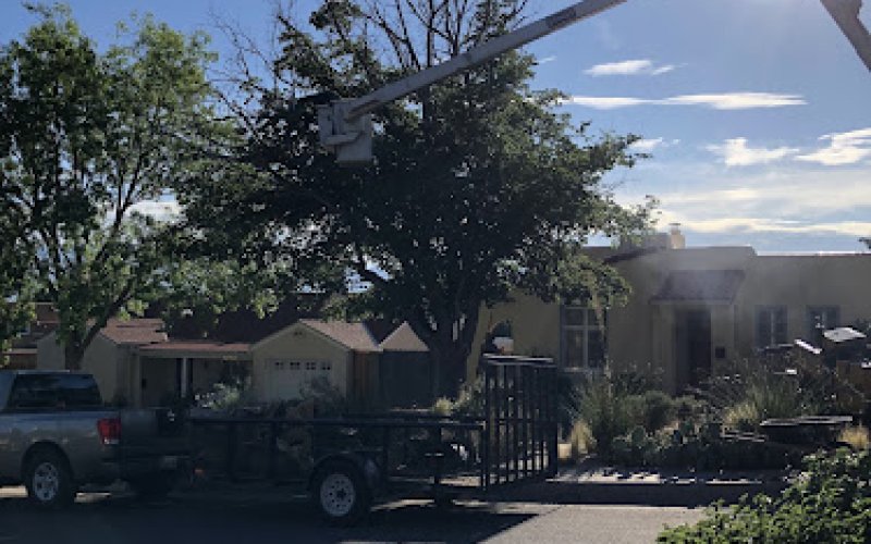 Hector's Tree Care
