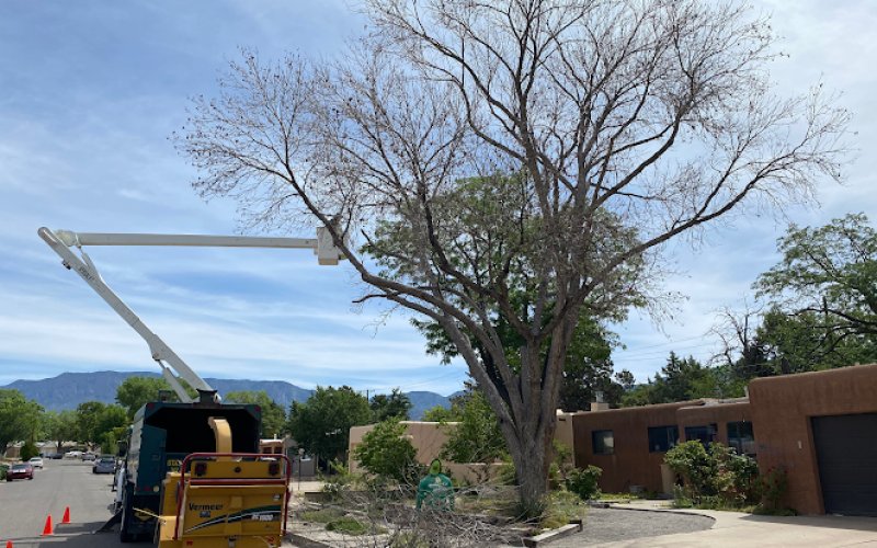 Treepros LLC.