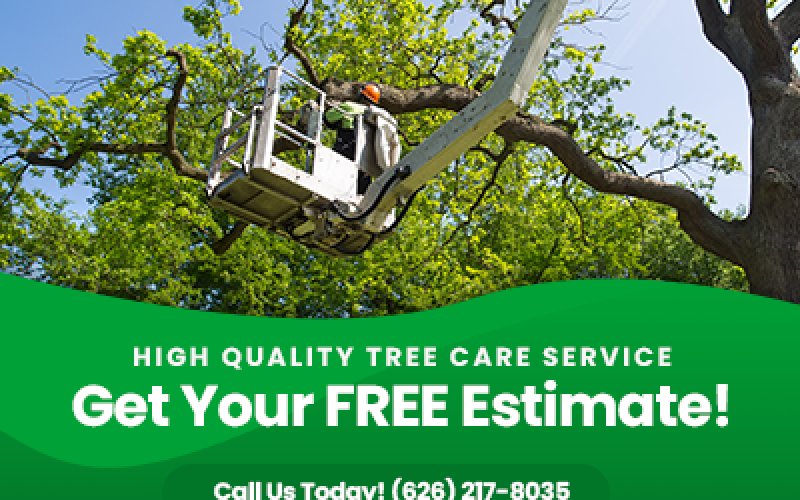 Lopez Tree Service
