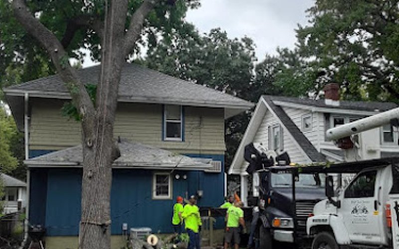 Pasadena Tree Service