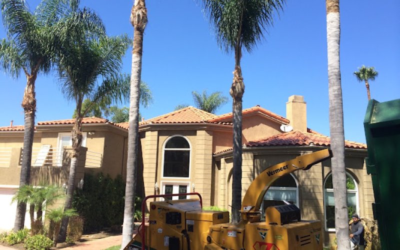 Anaheim Tree Care