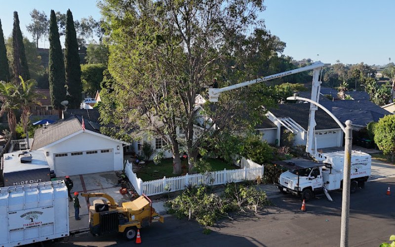 Paez Tree Service