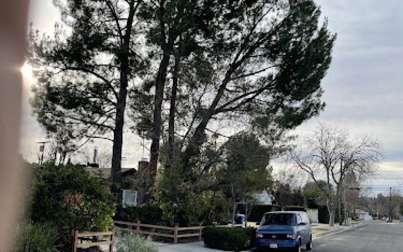 So Cal Tree Trimming Inc.