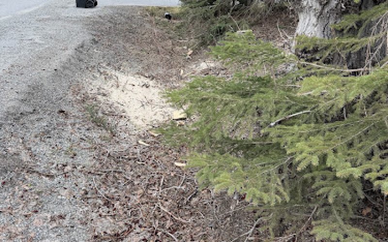 Alaska Tree Tops LLC