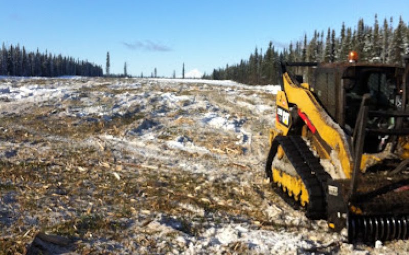 Greatland Tree Service