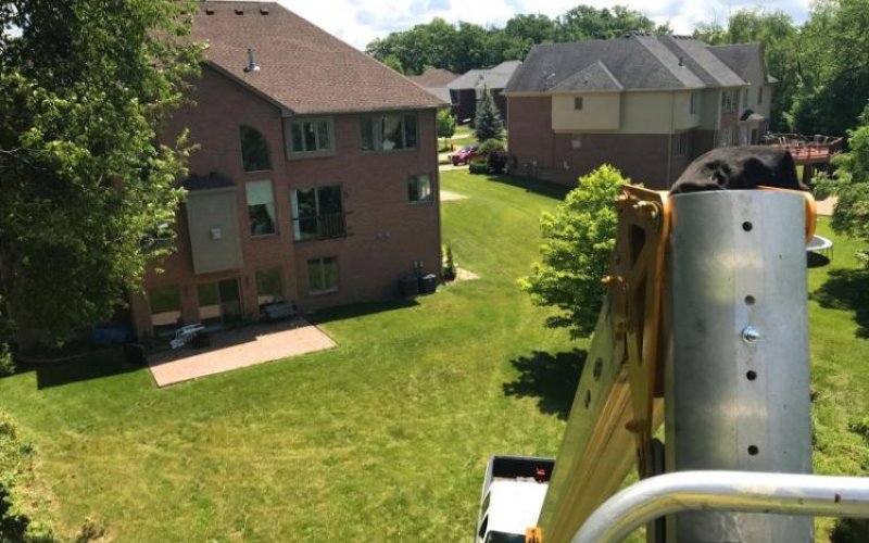 Ann Arbor Tree Trimming & Removal Service