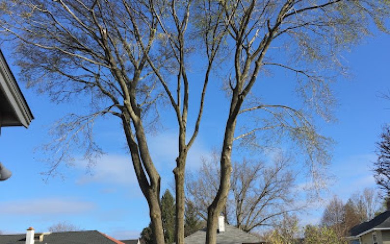 Barrett Tree Service East