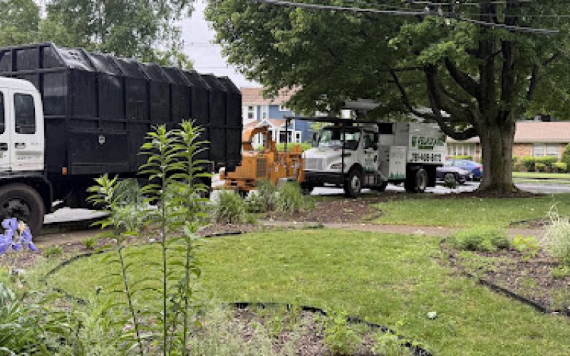 Velasquez Tree Service