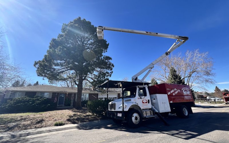 Mile High Tree Care Inc