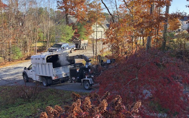 Family Tree Care — Tree service in Asheville