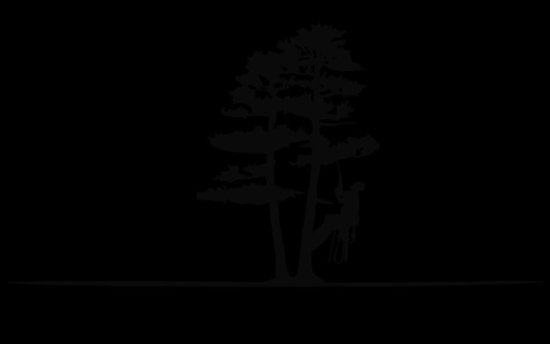 Spiders Tree Care Service of Athens