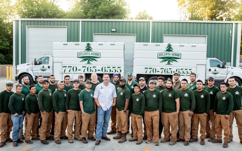 Atlanta Arbor Marietta Tree Service