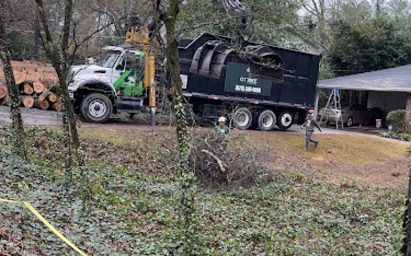 GT Tree Experts