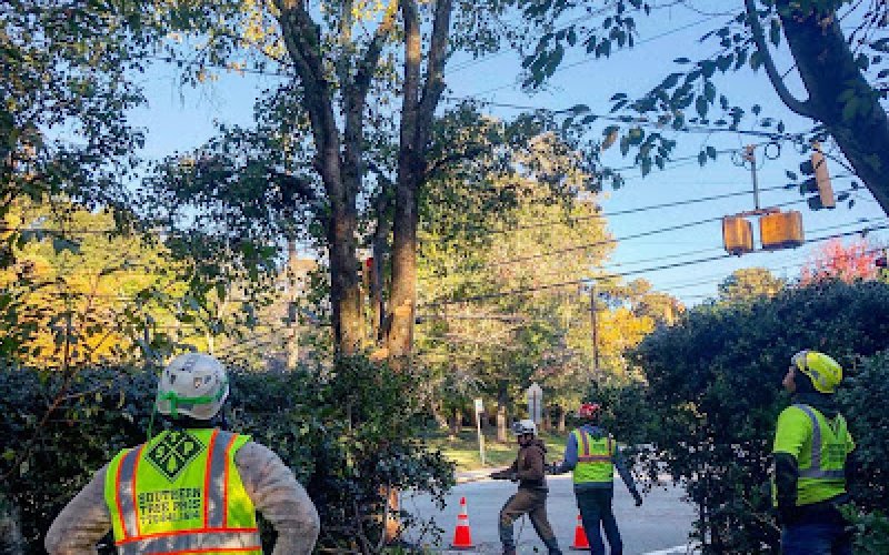 Southern Tree Pros