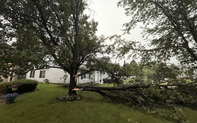 J.P.C. Tree Care, LLC