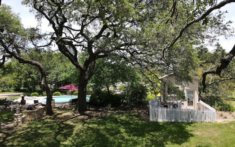 Austin Tree Surgeons