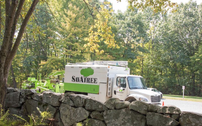 SavATree