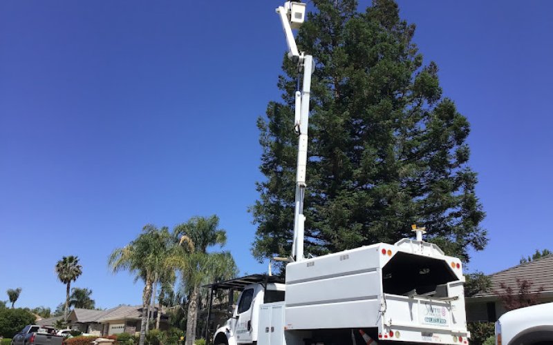 Sierra Tree Svc, LLC