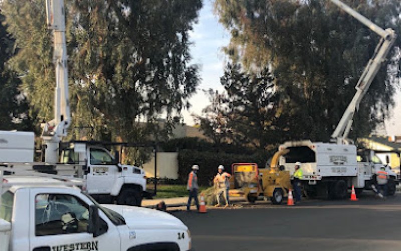 Western Tree Care Corp.