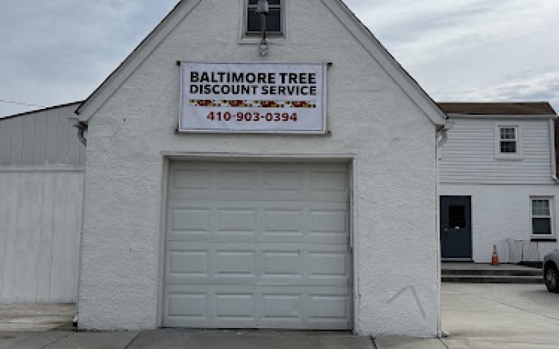 Baltimore Tree Discount Service