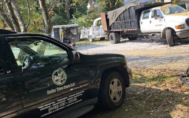 Cedar Tree Care LLC