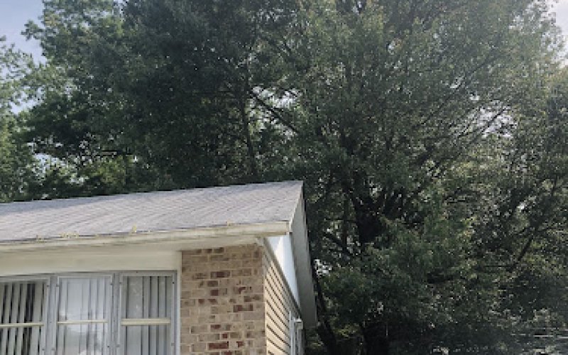 Maryland Tree Care