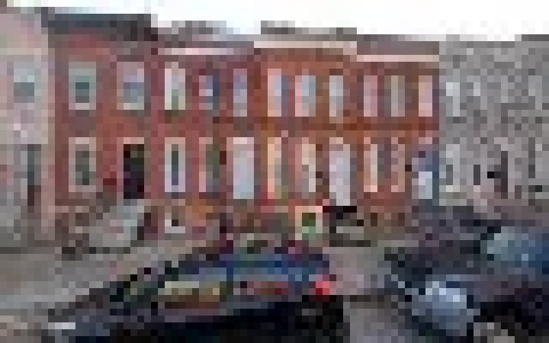 Pro Tree Service Baltimore