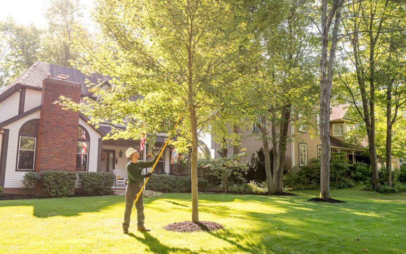 The Davey Tree Expert Company