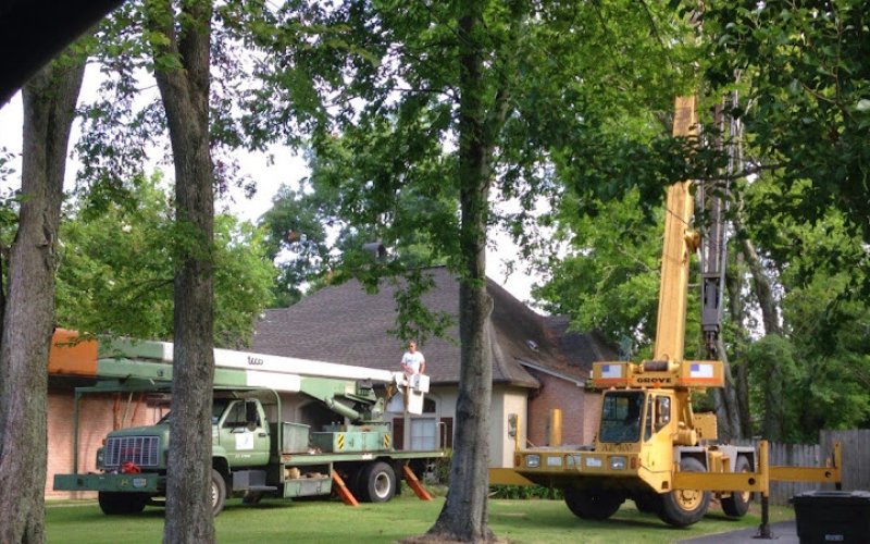 ABC TREE CO.