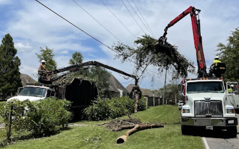 Arbor Tech Tree Service, Inc