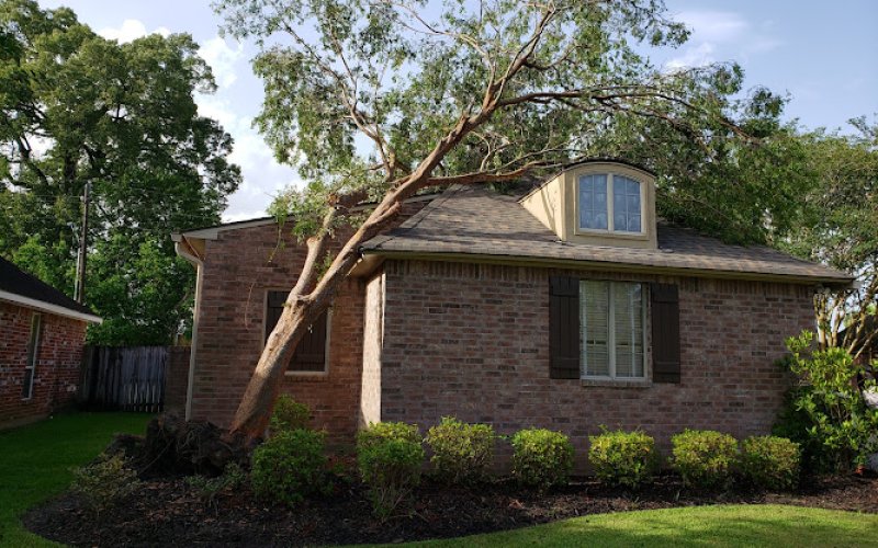GrowGreen Tree Service