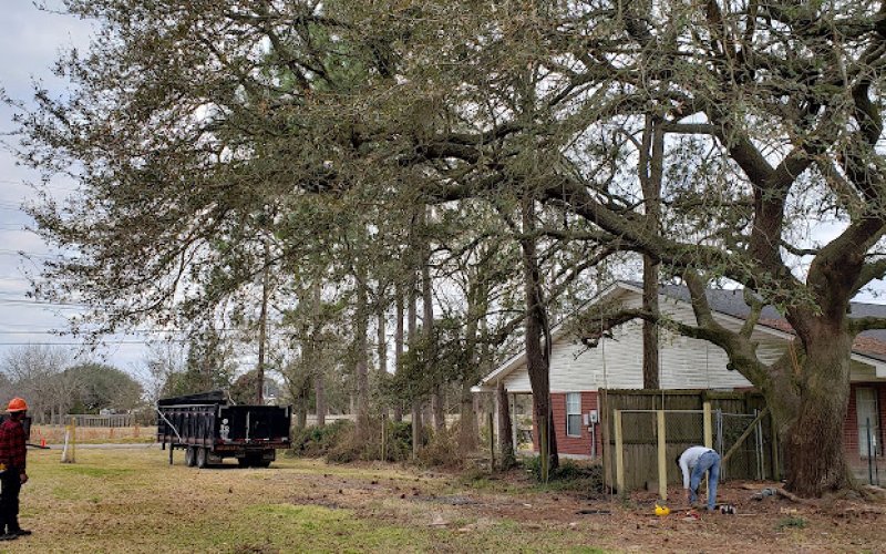 CJ's Tree Service Professionals, LLC