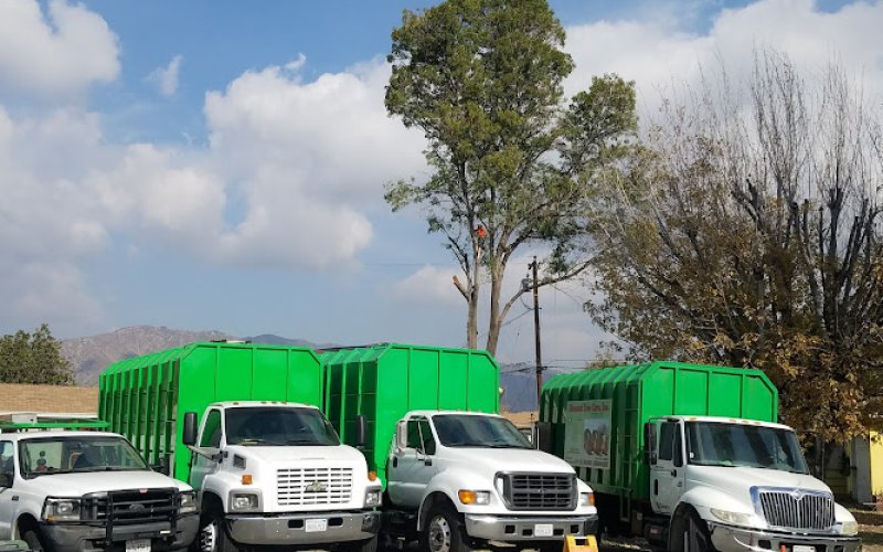 Discount Tree Care Arborist, Inc.