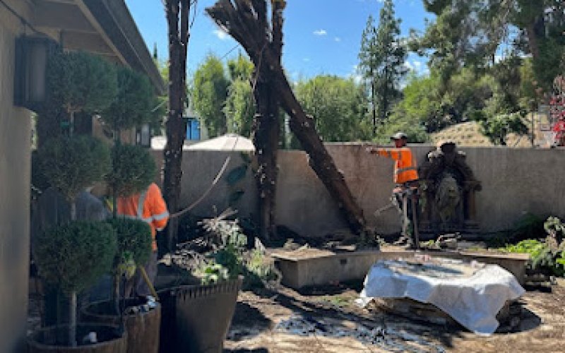 Happy's Tree Services