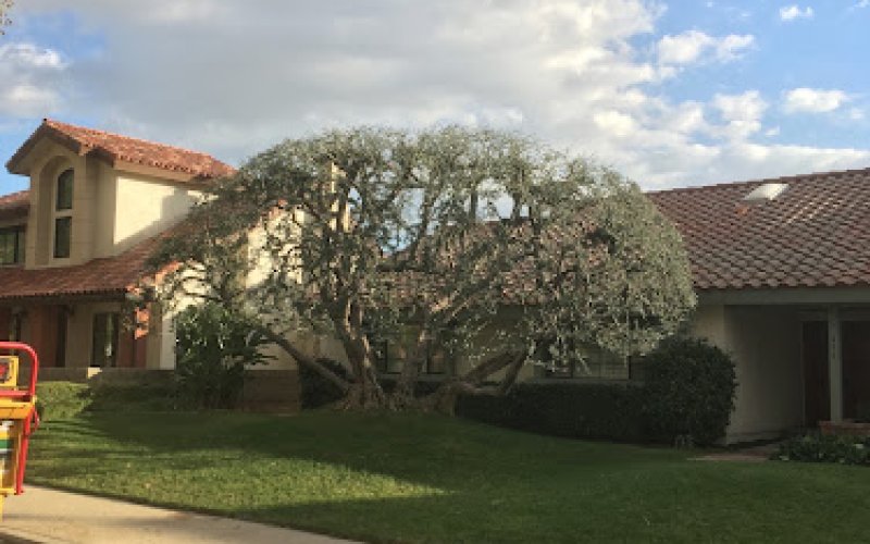 Poly Timber Tree Service Inc.