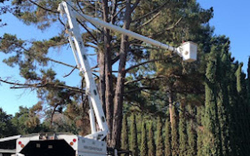 EC Tree Service Inc