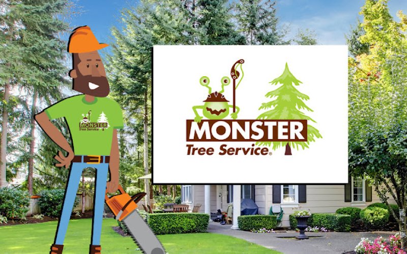 Monster Tree Service of the Coast