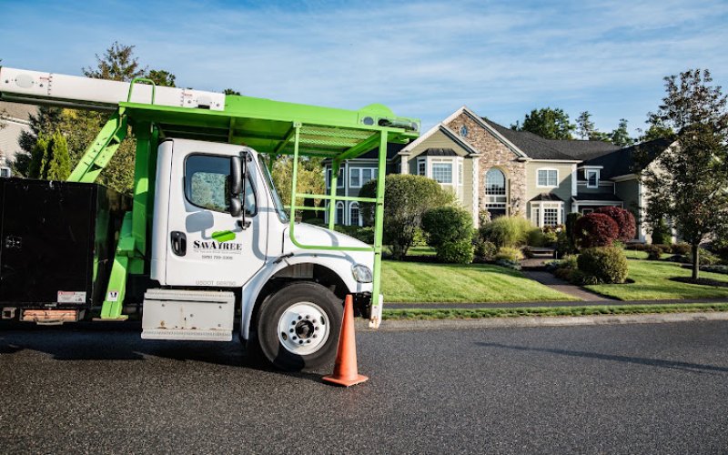 SavATree - Tree Service