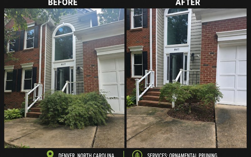 EverReady TreeWorks, LLC — Tree service in Belmont