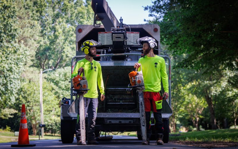 Justin’s Tree Service — Tree service in Belmont