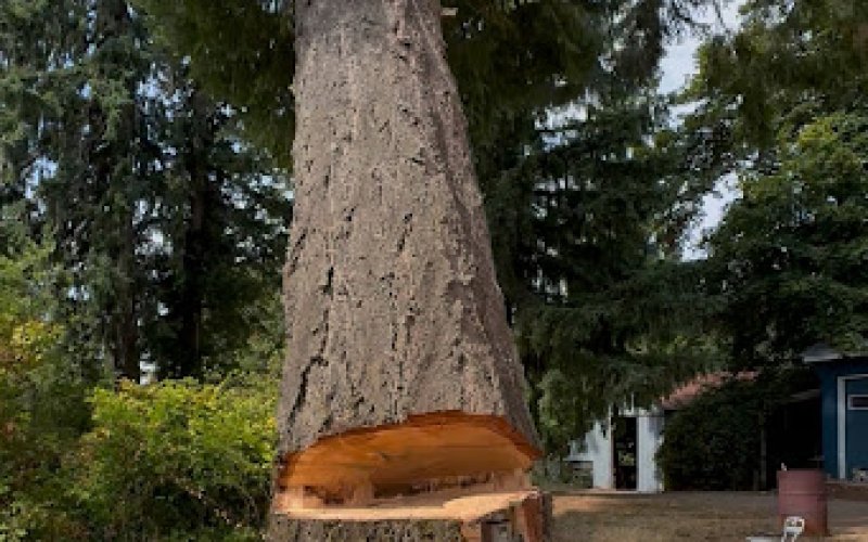 Tumalo Tree Care