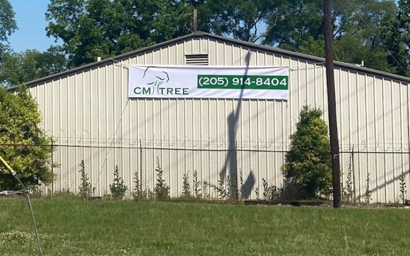 CM Tree