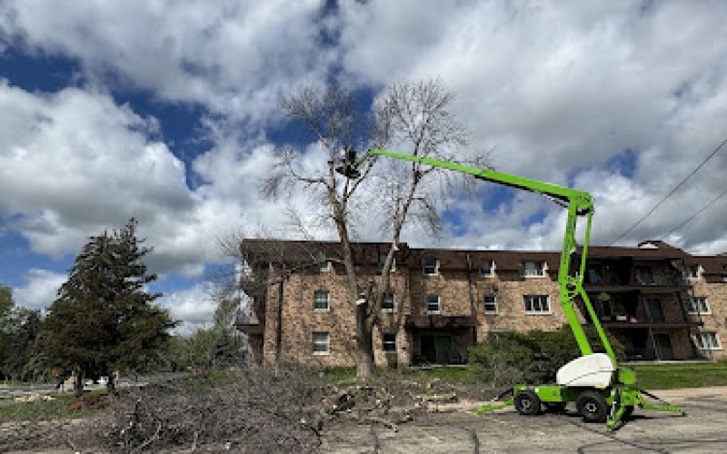 Arbros Tree Care LLC
