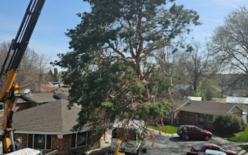 Parker Tree Service, Inc.