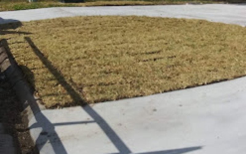 J.R Palma and Tree Service — Tree service in Brownsville