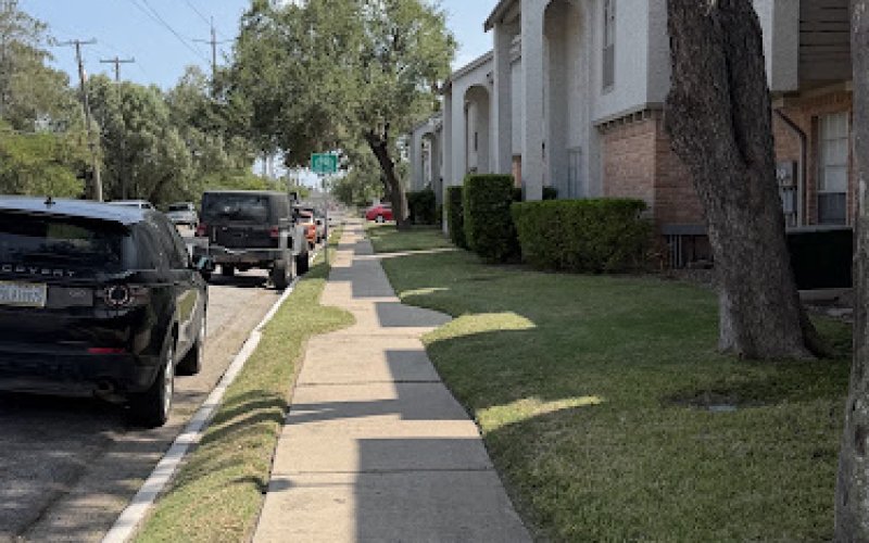 López Green Tree & Palm Services — Tree service in Brownsville