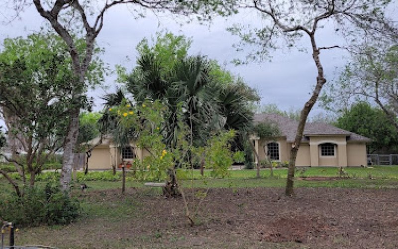 Ruizs Tree Trimming — Tree service in Brownsville